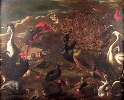 Gli uccelli e le bestie da Jacob van der Kerckhoven